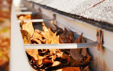 Forestside gutter cleaning companies