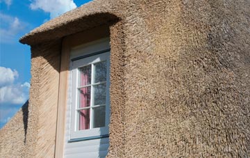 Forestside thatch roof disadvantages