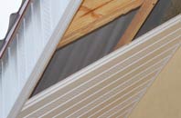 rated Forestside soffit repair companies